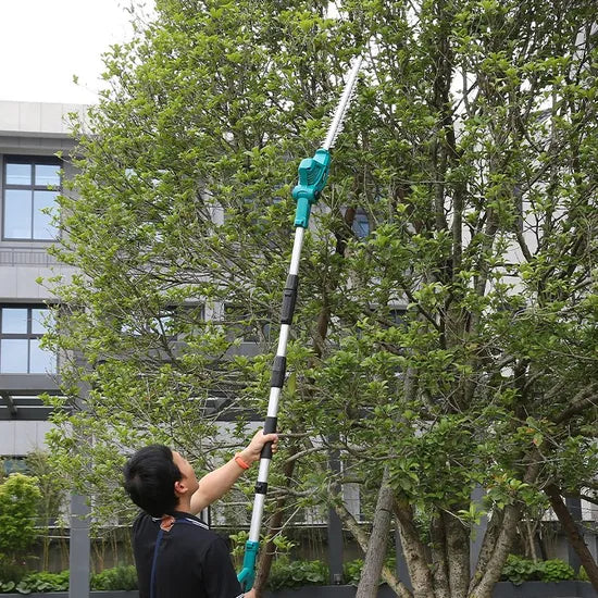 Liangye 20V Gardening Tools Lcgs770-2 Battery Operated Cordless Pole Hedge Trimmer