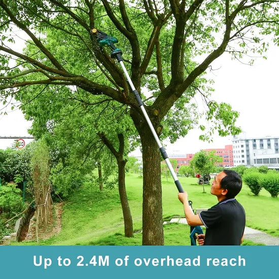 Liangye Lithium Battery Operated Garden Tools 20V Cordless Electric Pole Chainsaw