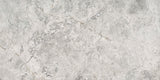 Emser Marble Silver 16-in x 32-in Polished Natural Stone Floor and Wall Tile
