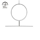 DLSS Lighting Metal Circle Acrylic Pendant Light LED Lighting Simple Lamp Modern Chandelier