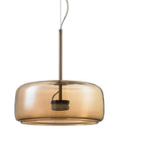 DLSS Metal Glass Lamp Shade Home Decor Dining Room LED Pendant Light