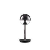 DLSS Lighting Co., Ltd Morden Style Luxury LED Table Lighting Modern Iron Glass Table Lamp