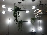 DLSS Lighting Nodic LED Lamp Ball Handing Lamp Pendant Light