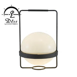 DLSS Lighting Nodic LED Lamp Ball Handing Lamp Pendant Light