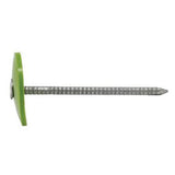 Plastic Cap Nails 1-1/4" 2000/Box