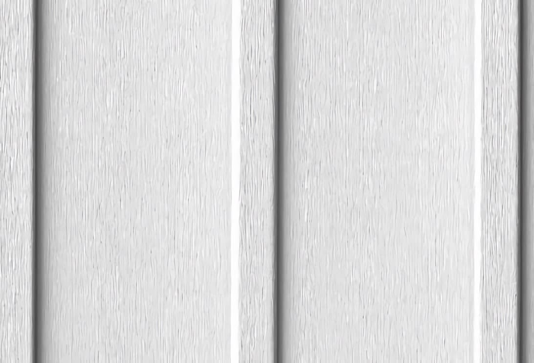 Exterior Portfolio CraneBoard D7 Insulated Siding 01 Aspen White 12' 3"