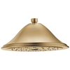 Delta Cassidy Champagne Bronze 1-Spray Rain Shower Head, 2.5 GPM (9.5 LPM)