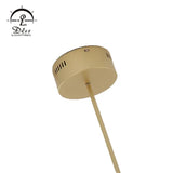 DLSS Lighting Co., Ltd Restaurant Stainless Steel Pendant Lighting Globe LED Lamp