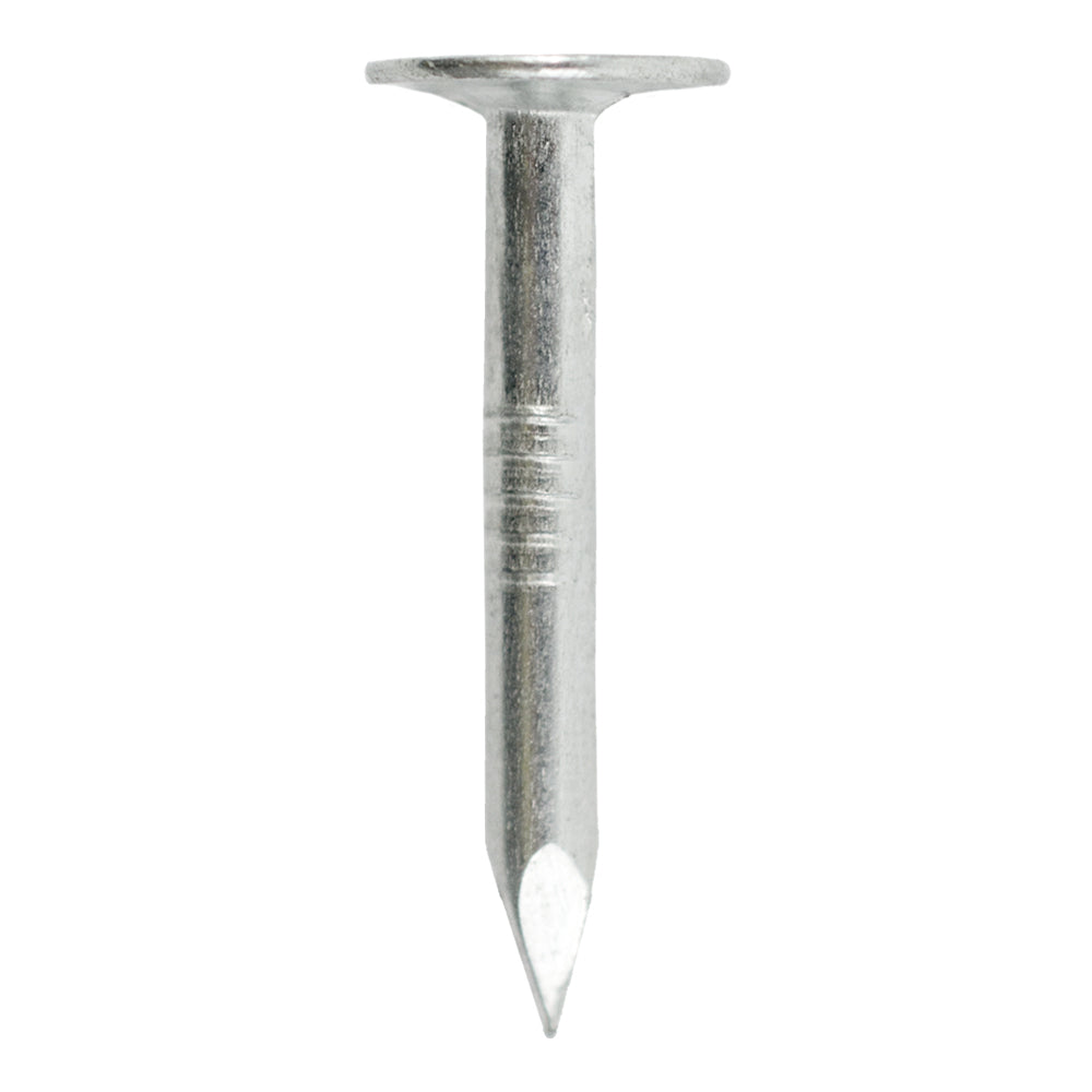 Grip-Rite 1-3/4 in. Electro-Galvanized Roofing Nails, Flat Head, 50 lb