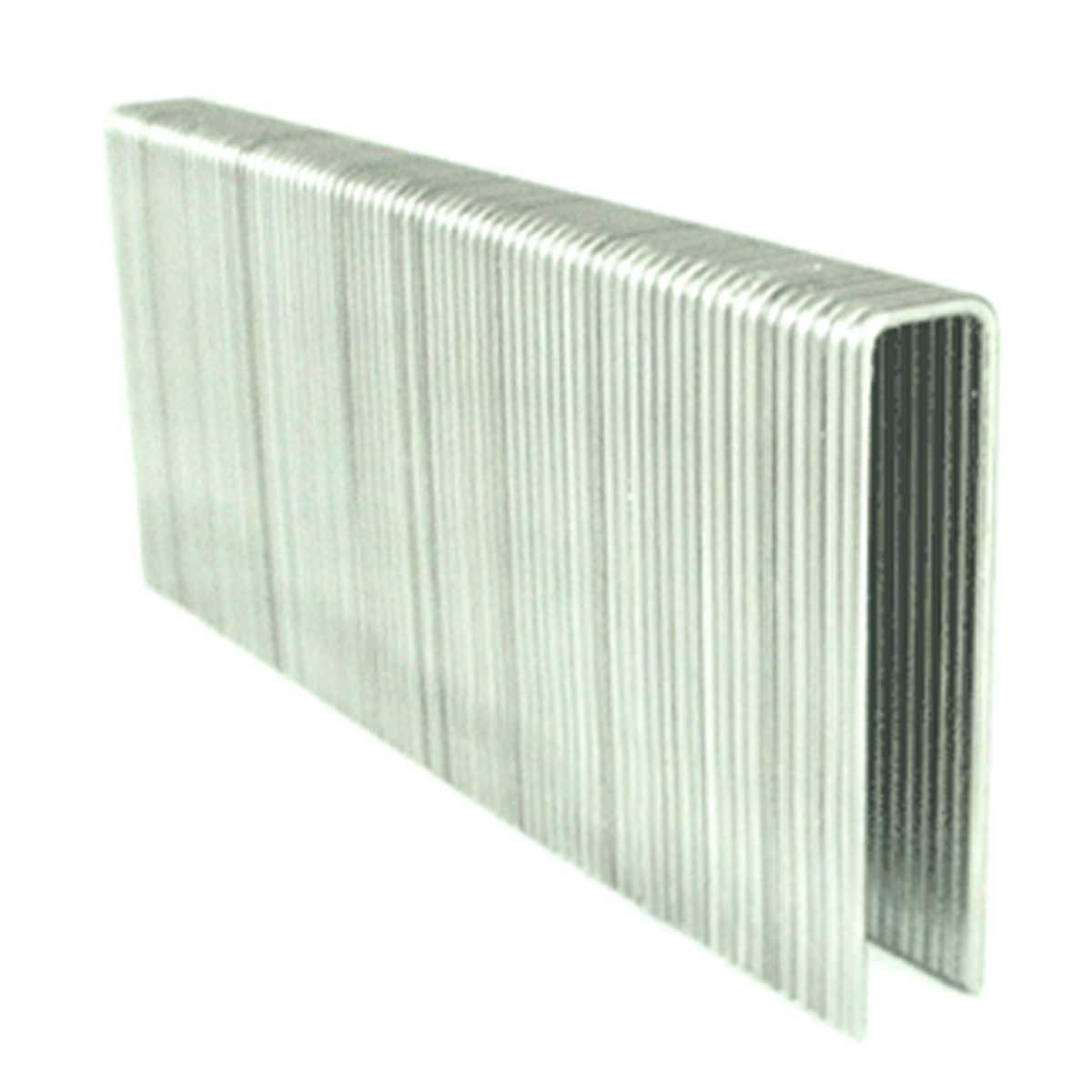 N19 Stainless Steel Staple Gun Staples (Box)