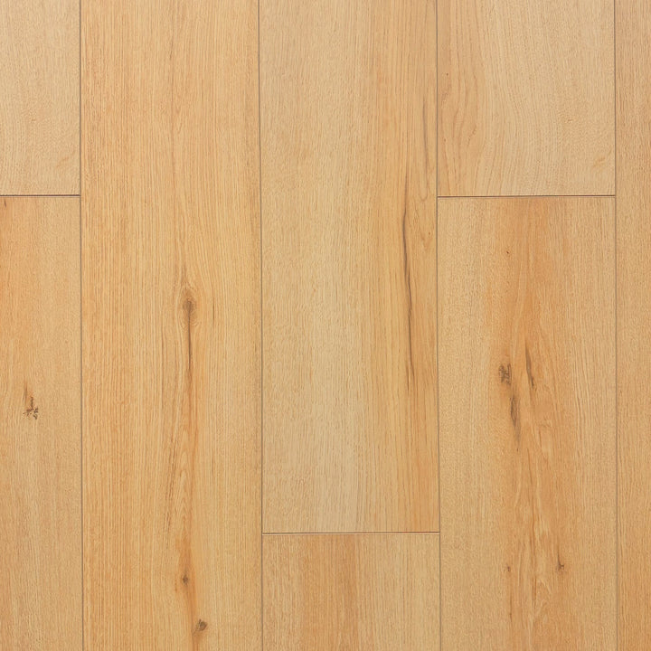 Shields Maple Waterproof Laminate