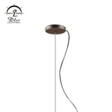 DLSS Lighting Special Pendant Lamp