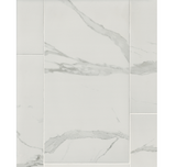 Staturio Lio Matte Porcelain Wall and Floor Tile - 12 x 24 in.