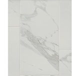 Staturio Lio Polished Porcelain Wall and Floor Tile - 12 x 24 in.