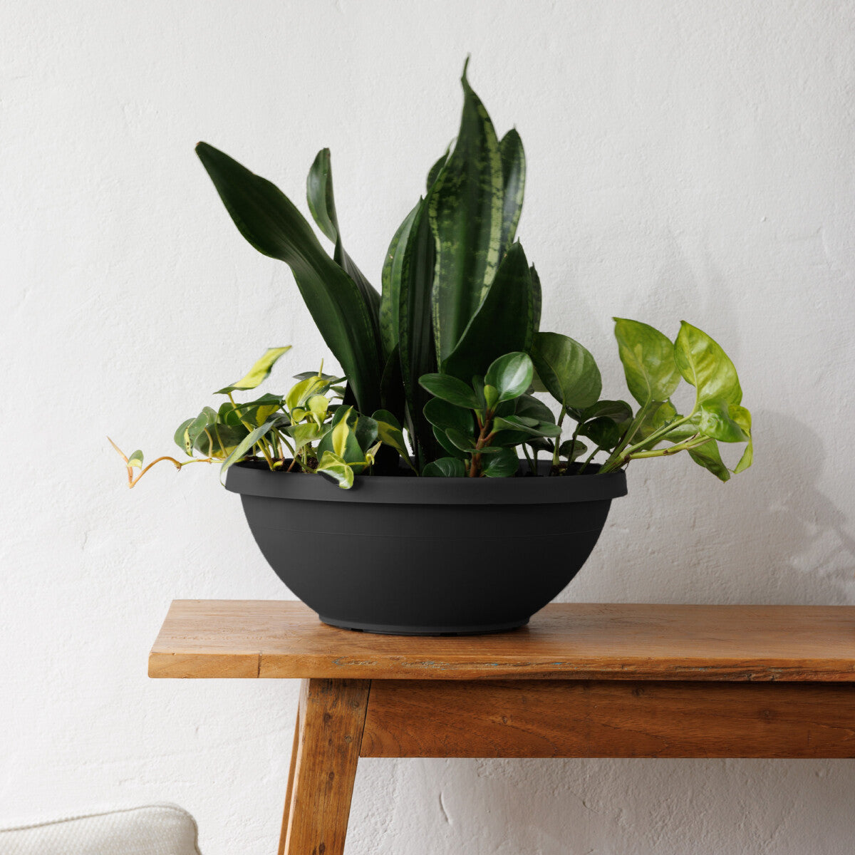 Bloem Terra Plant Bowl Planter 14" Terra Cotta