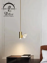 DLSS The Modern Decoratice Pendant Light for Indoor with Hold Lamp LED Chandelier