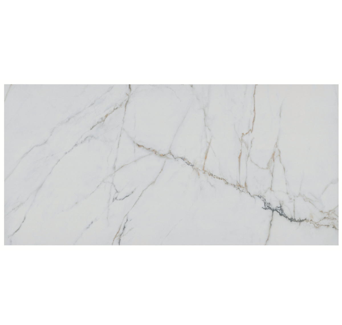 Torano Dorado Polished Porcelain Wall and Floor Tile - 24 x 48 in.