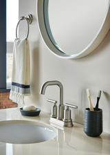 Moen Iso Towel Ring in Chrome, DN0786CH