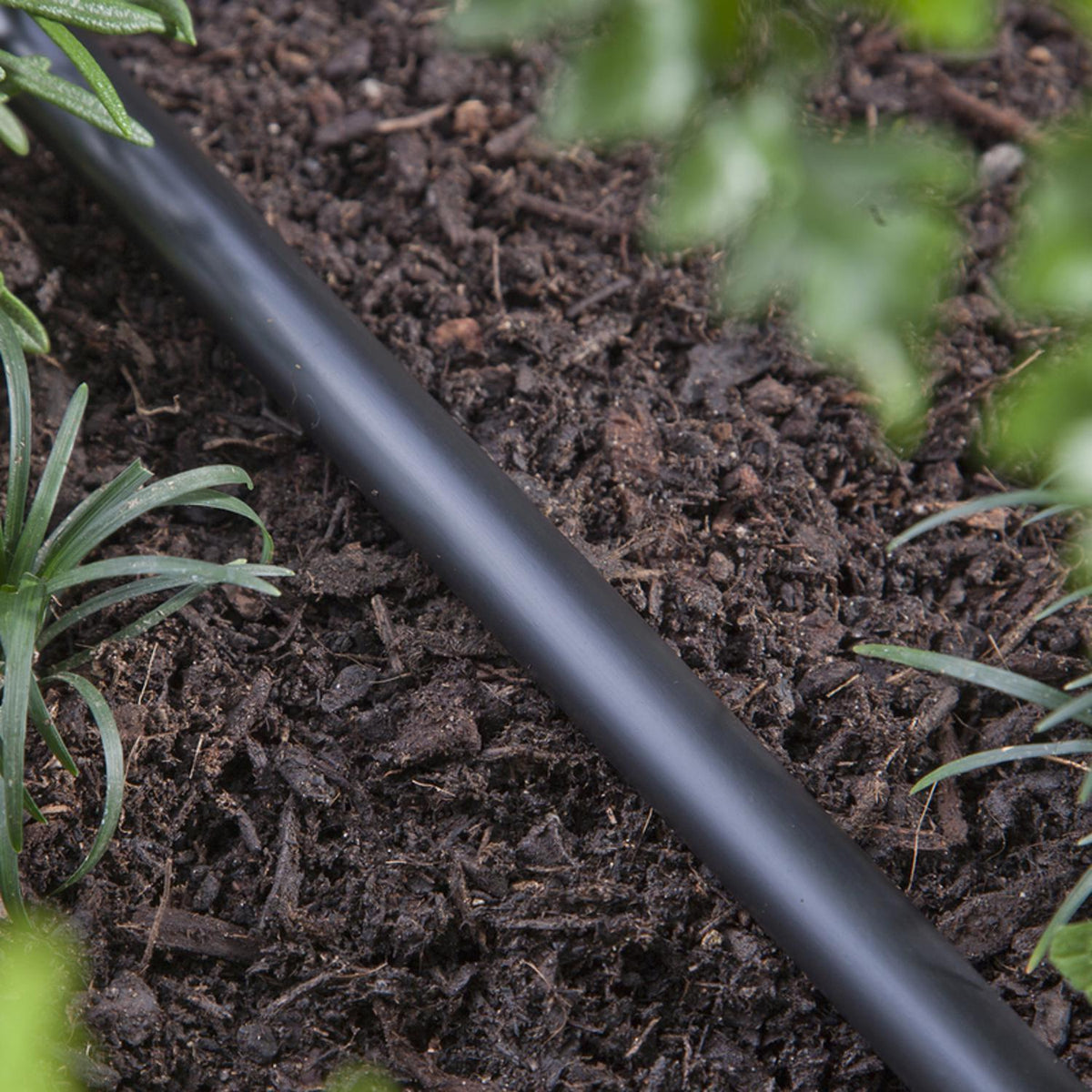 Raindrip Polyethylene Drip Irrigation Tubing, 0.710 in OD x 100 ft