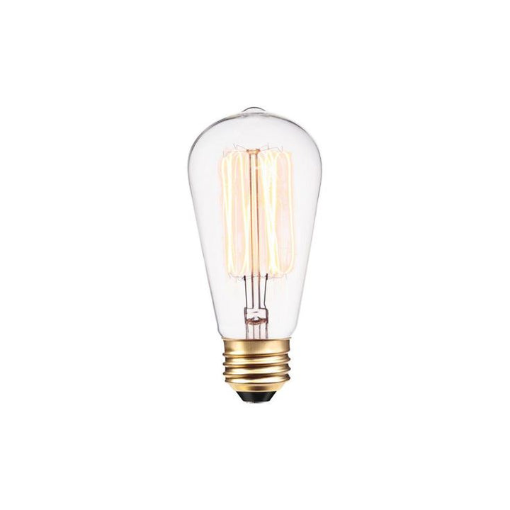Globe Electric 40-Watt Vintage Edison S60 Squirrel Cage Incandescent Filament Light Bulb (12-Pack)