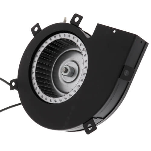 Fasco A079 inducer motor - detail view (Type: Shaded Pole; Voltage: 115V)