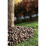 MSI Ash Beach 0.5 cu. ft. 3 cm to 5 cm River Rock approx. 40 lbs. Bag (24 cu. Ft. / 42 Bags / Pallet)