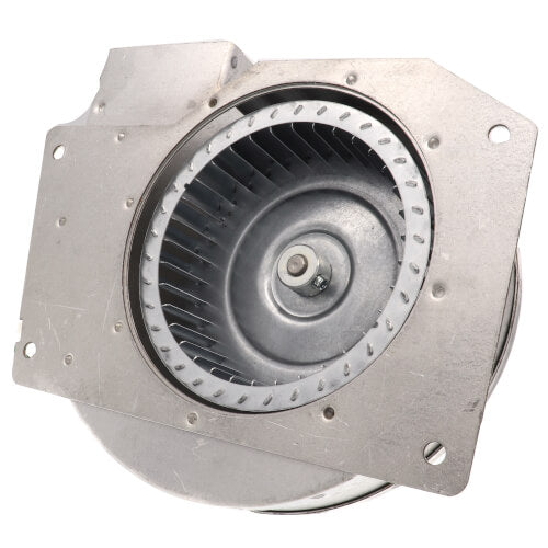 Fasco A156 inducer motor - detail view (Type: Shaded Pole; Voltage: 115V)