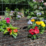 Everbilt 2.3 ft. x 50 ft. Galvanized Steel Garden Welded Wire Fence