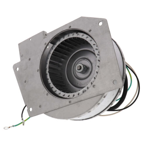 Fasco A206 blower motor - detail view (Type: Shaded Pole; Voltage: 115V)