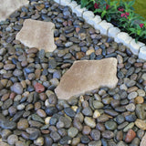 Rain Forest 1 in. to 2 in. 30 lb. Medium Mixed Grade A Polished Pebbles