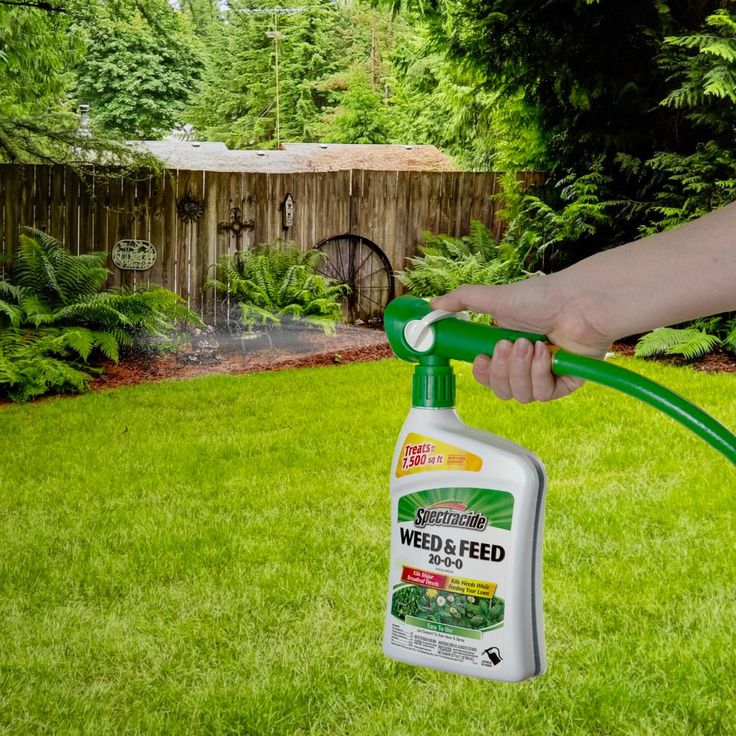 Weed and Feed RTS 32 OZ