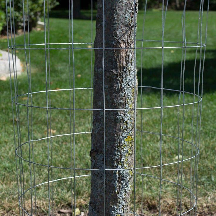Everbilt 5 ft. x 50 ft. 14-Gauge Galvanized Steel Welded Wire