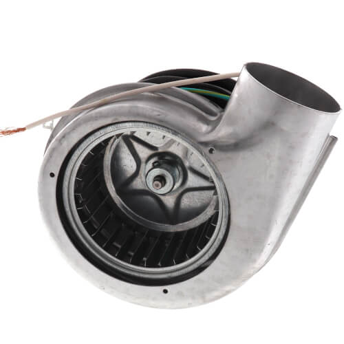 Fasco A320 blower motor - detail view (Type: Shaded Pole; Voltage: 115V)
