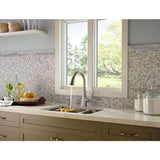 Pasadena Single-Handle Pull-Down Sprayer Kitchen Faucet with Soap Dispenser in Stainless Steel - Super Arbor