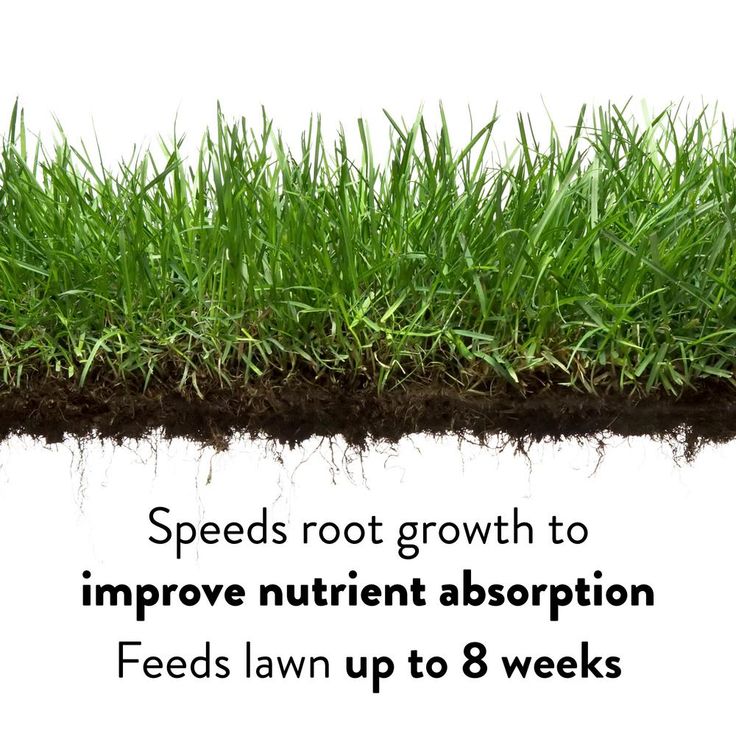 GreenView 48 lbs. Lawn Food