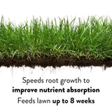 GreenView 48 lbs. Lawn Food