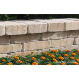 Oldcastle Olde Manor 3.75 in. x 11.5 in. x 8 in. Toscana Tan/Brown Concrete Garden Wall Block (120 Pieces / 40 Face ft. / Pallet) - Super Arbor