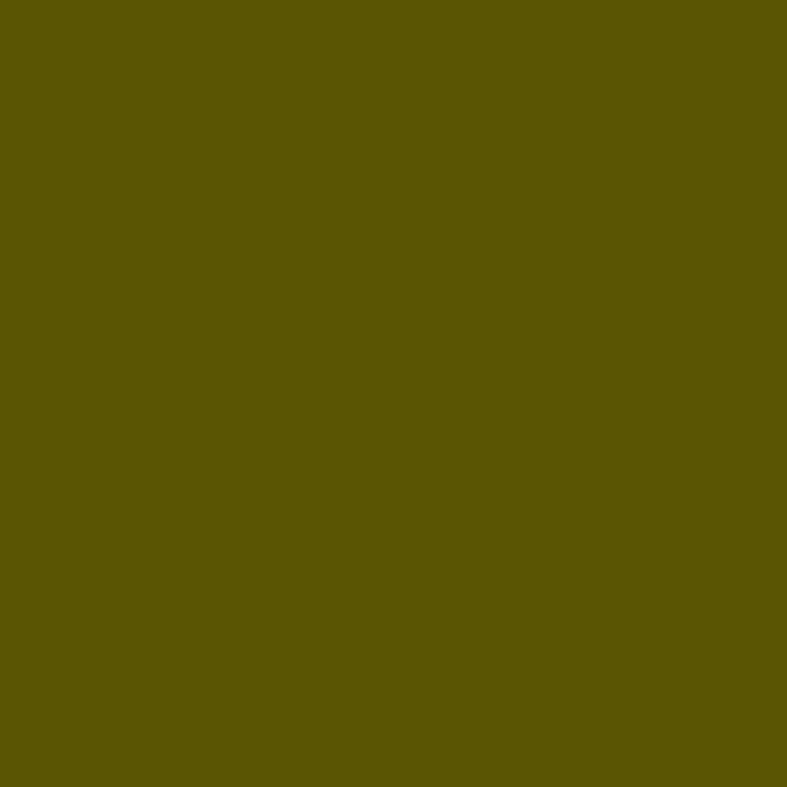 67 Autumn Green Permacolor Grout (25 lbs)
