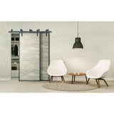 5 ft./60 in. Powder Coated Black Heavy-Duty Bypass Double Door Sliding Barn Door Hardware Classic Design Roller - Super Arbor