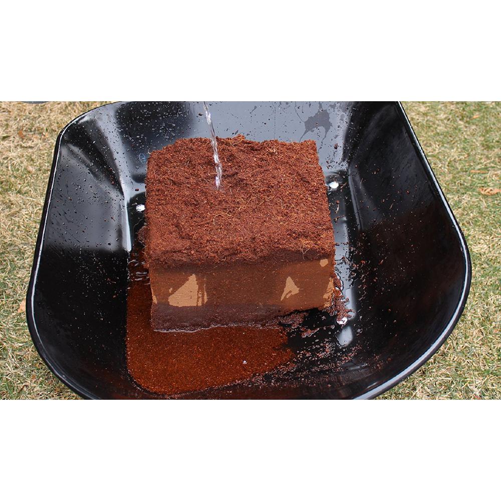 ENVELOR 10 lbs. Organic Coco Block Coir Brick Potting Soil (4-Pack) - Super Arbor