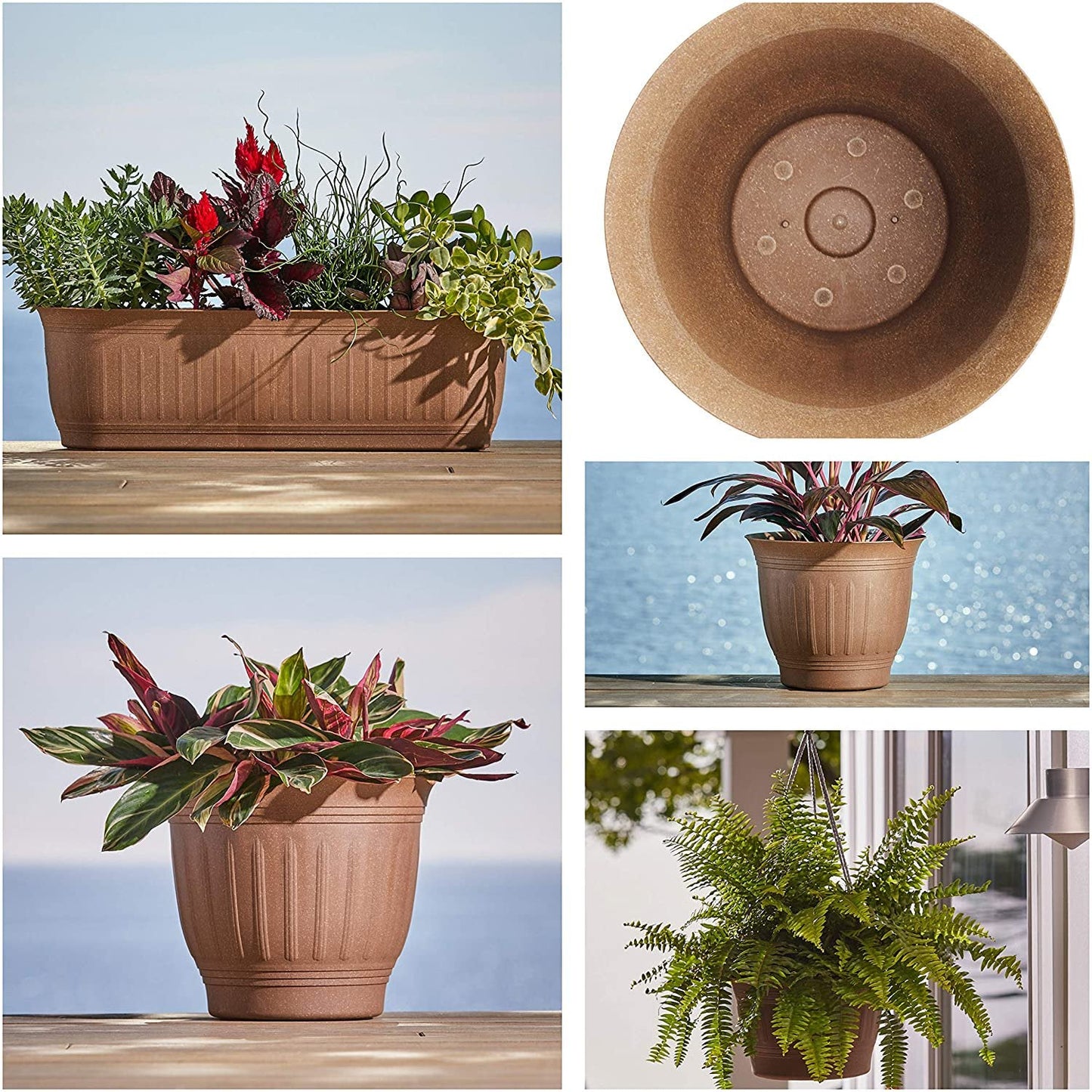 Bloem Colonnade 11 in. H x 13.2 in. Dia. Resin Colannade Planter Dark Earth