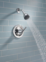 Delta Foundations Chrome 1-Handle Shower Faucet with Valve