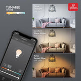Globe Electric 40-Watt Equivalent Wi-Fi Smart B11 Vintage Edison Filament Tunable White LED Light Bulb