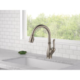 Leland Single-Handle Pull-Down Sprayer Kitchen Faucet with ShieldSpray in Stainless - Super Arbor