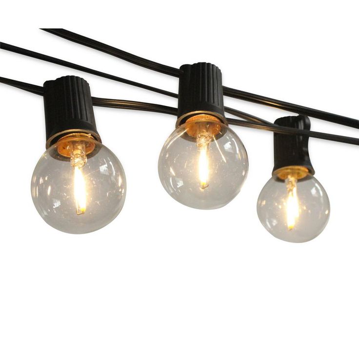 Indoor and Outdoor 50 ft. Black Warm White LED Plug-in String Light, 50-Light Bulbs Included