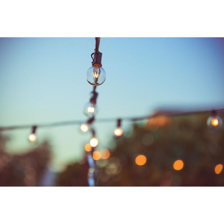 Indoor and Outdoor 50 ft. Black Warm White LED Plug-in String Light, 50-Light Bulbs Included