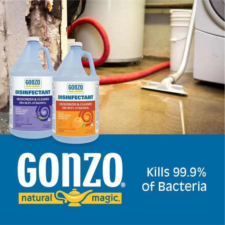 Gonzo 128-fl oz Citrus Disinfectant All-Purpose Cleaner