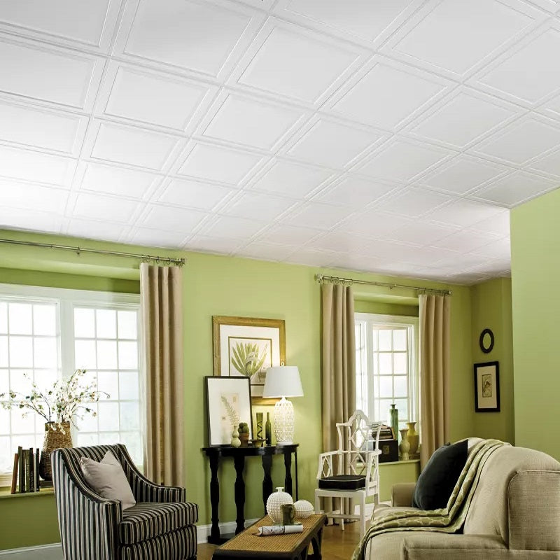 Armstrong Ceilings 24-in x 24-in Single Raised Panel 6-Pack White Patterned 15/16-in Drop Acoustic Ceiling Tiles