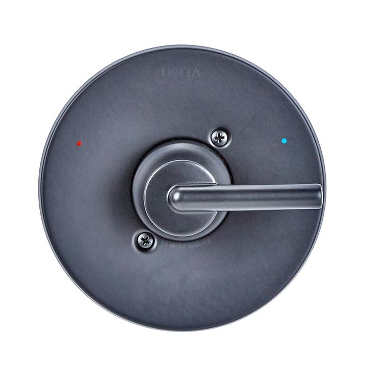 Delta Trinsic Matte Black 1-Handle Shower Faucet