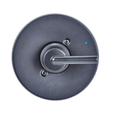 Delta Trinsic Matte Black 1-Handle Shower Faucet